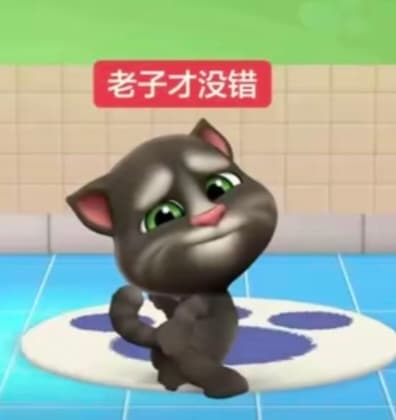 抽象会说话的汤姆猫表情包
