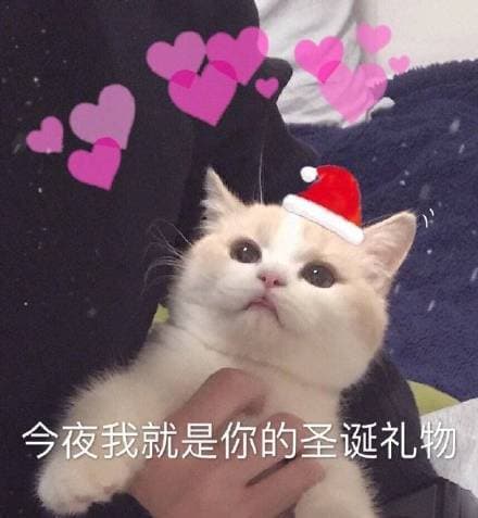 今夜我就是你的圣诞礼物