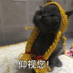 仰视您！