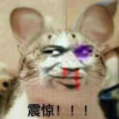 震惊表情包