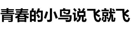 青春的小鸟说飞就飞