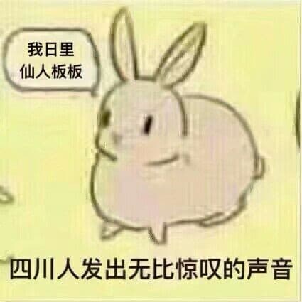 四川人发出无比惊叹的声音（我日里仙人板板）