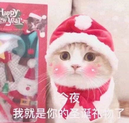 今夜我就是你的圣诞礼物