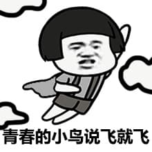 青春的小鸟说飞就飞