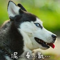 你奏凯