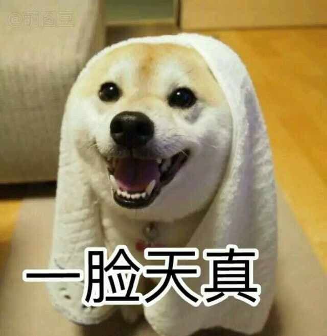 一脸天真