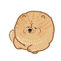 灰色狗狗