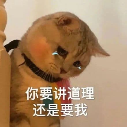 你要讲道理还是要我