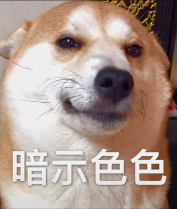 不可以色色表情包-可以色色（柴犬）