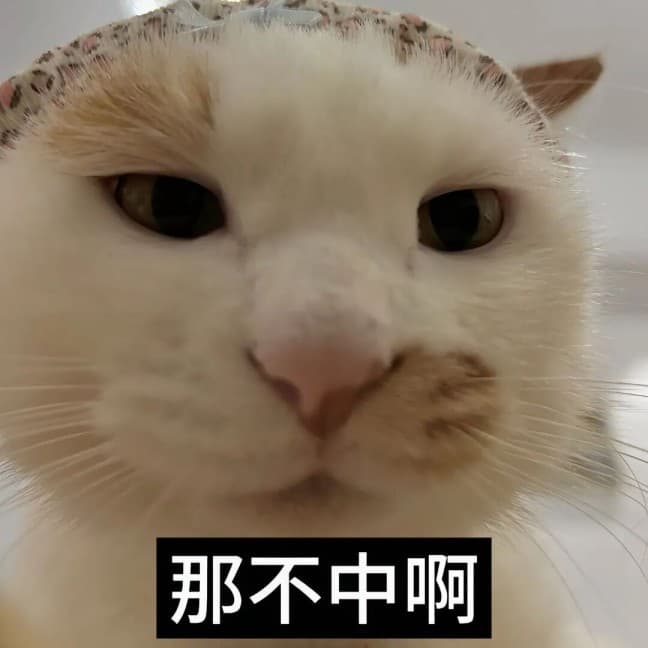 发福了呀腊八蒜小猫表情包