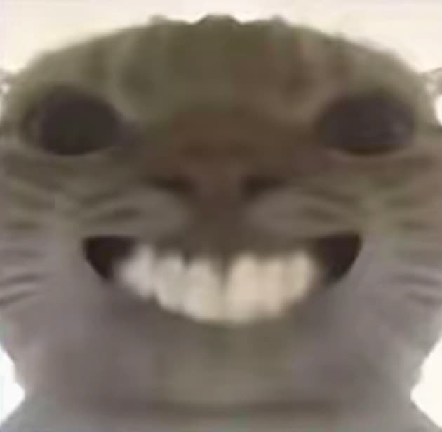 和平地铁猫猫鼠鼠表情包