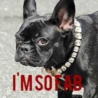 I'M SOFAB