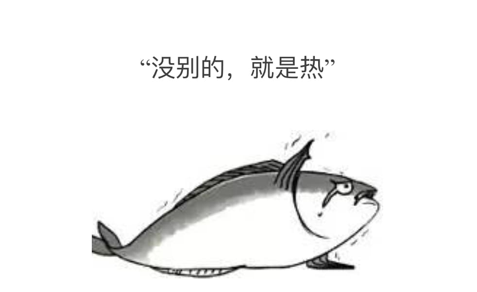 没别的，就是热