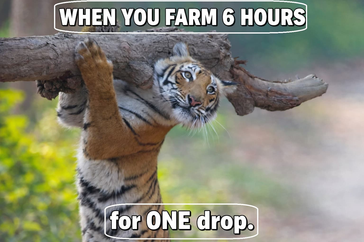 L2 essence meme