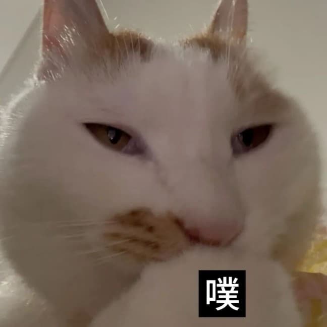 发福了呀腊八蒜小猫表情包