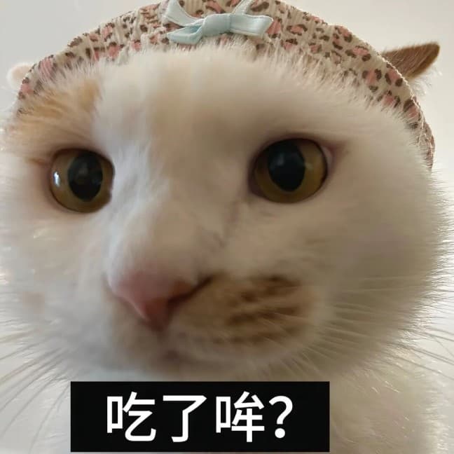 发福了呀腊八蒜小猫表情包