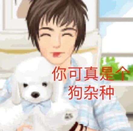 你可真是全狗杂种