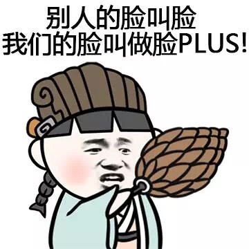 别人的脸叫脸，我们的脸叫做脸PLUS！