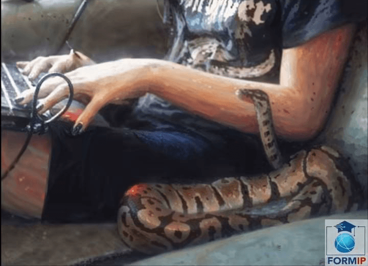 Me And My Python