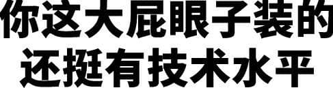你这大屁眼子装的还挺有技术水平