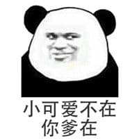 小可爱不在，你爹在（熊猫）