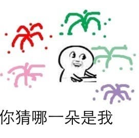你猜哪一朵是我