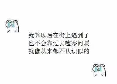 就算以后在街上遇到了 也不会靠过去嘘寒问暖 就像从来都不认识似的