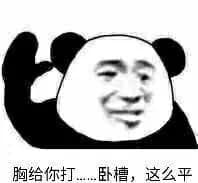 胸给你打、…卧槽，这么平