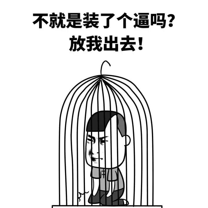 不就是装了个逼吗？放我出去！