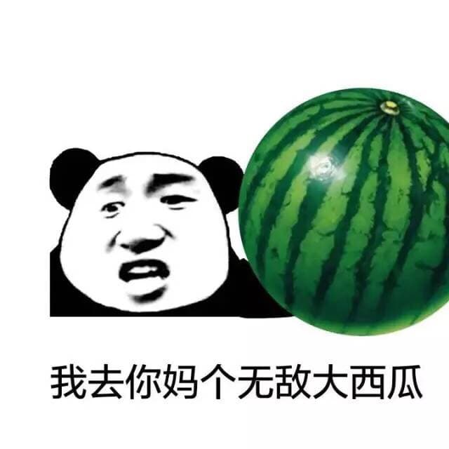 我去你妈个无敌大西瓜