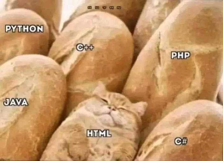 Don't Mind Me, Just A Markup Language Among The Code