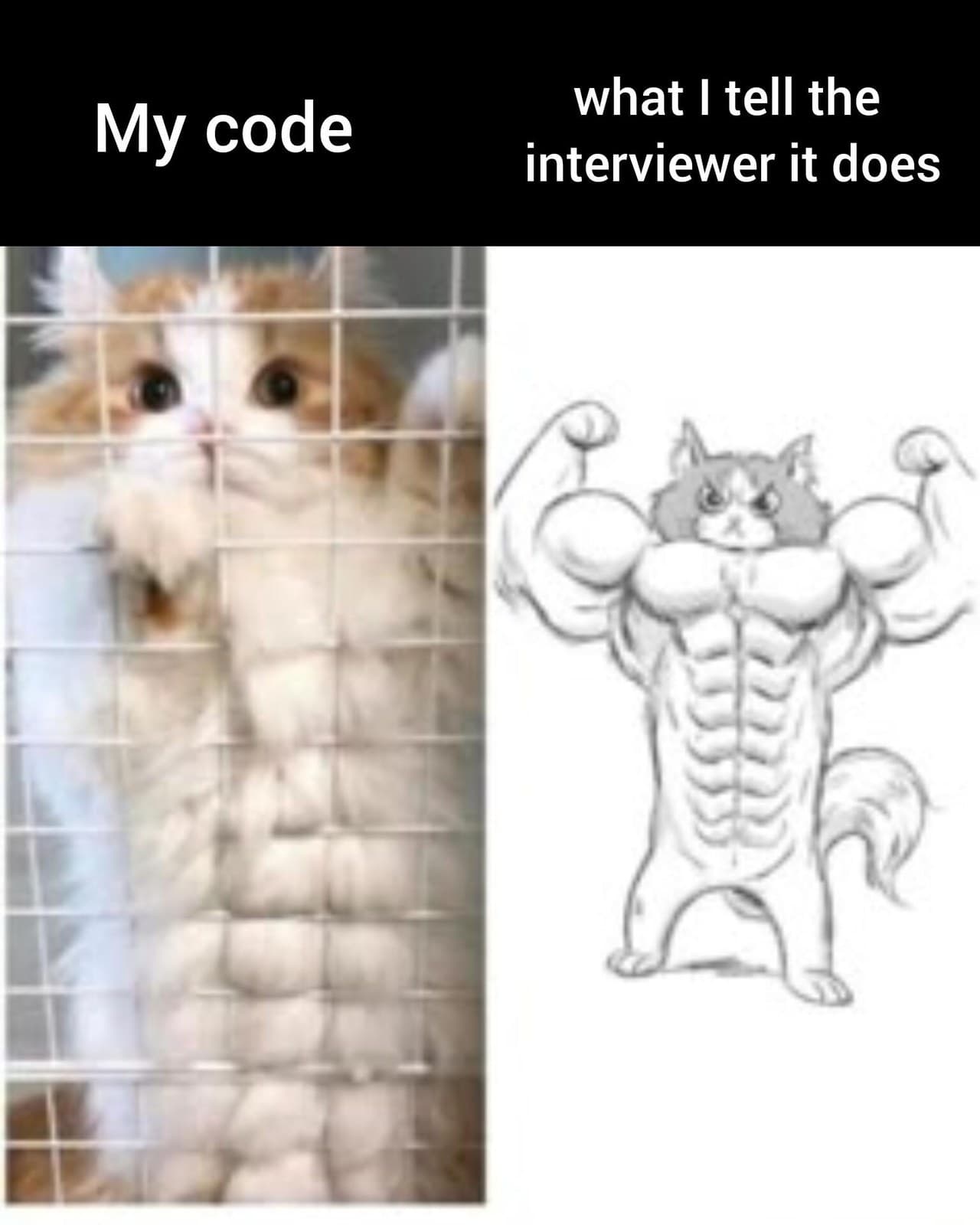 Code Vs Reality