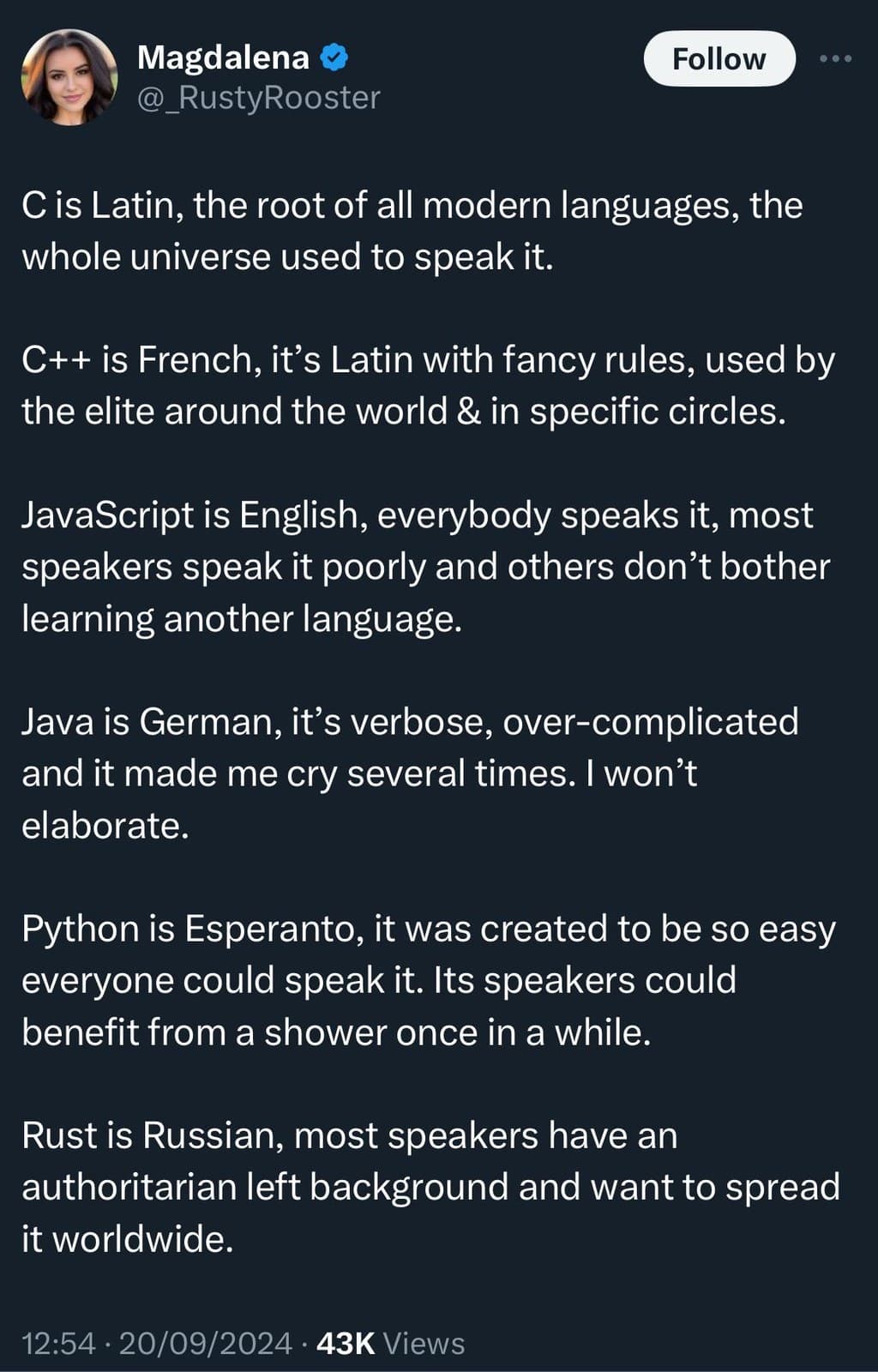 If Programming Languages Were Human Languages