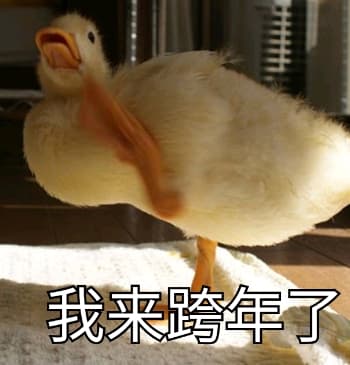 我来跨年了