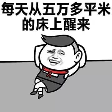 每天从五万平米的床上醒来