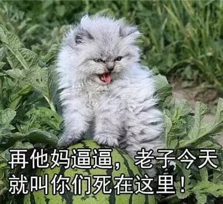 再他妈装逼，老子就叫你们死在这里！