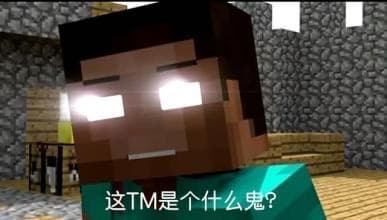 我的世界