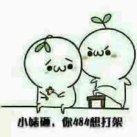 小婊砸,你484想打架?