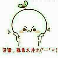 没错,就素本帅比